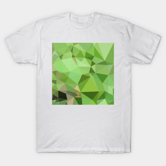 Dollar Bill Green Abstract Low Polygon Background T-Shirt by retrovectors